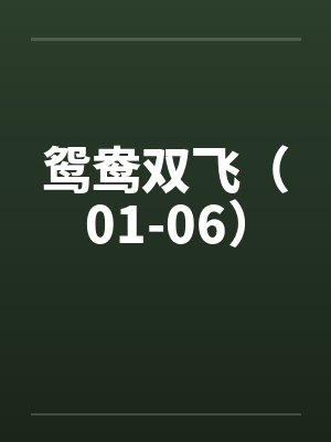 鸳鸯双飞（01-06）笔趣阁无弹窗封面