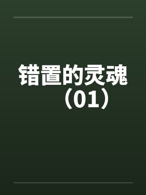错置的灵魂（01）笔趣阁无弹窗封面