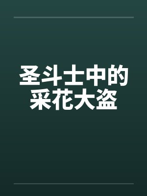圣斗士中的采花大盗封面
