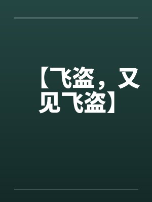 【飞盗，又见飞盗】笔趣阁无弹窗封面