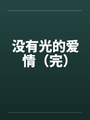 没有光的爱情（完）笔趣阁无弹窗封面