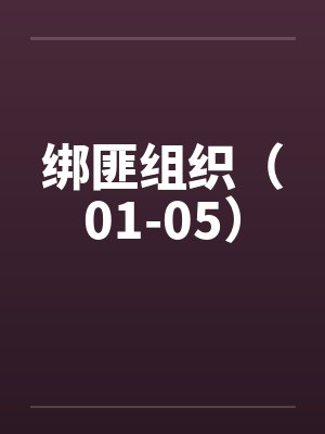 绑匪组织（01-05）笔趣阁无弹窗封面