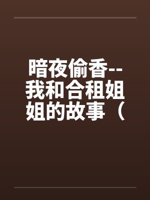 暗夜偷香--我和合租姐姐的故事（完）笔趣阁无弹窗封面