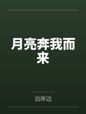 月亮奔我而来by泊岸边封面