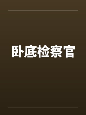卧底检察官封面