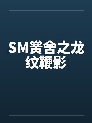 SM黉舍之龙纹鞭影by佚名封面