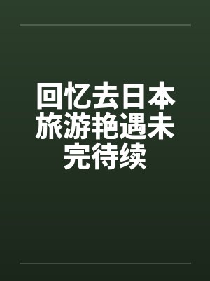 回忆去日本旅游艳遇未完待续by佚名笔趣阁无弹窗封面