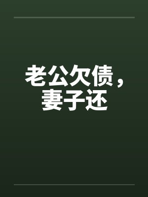 老公欠债，妻子还by佚名笔趣阁无弹窗封面