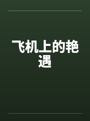 飞机上的绝遇封面